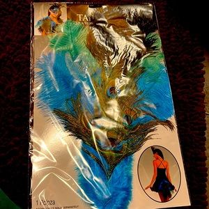 Peacock tail feathers clip